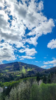 İlkbaharda dağların manzarası