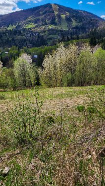 Osha Dağı 'nın bahar manzarası, Sofya Şehri Bölgesi, İspanya