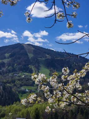 Doğanın güzel manzarası