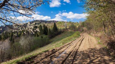 Güzel dağ manzarası. seyahat, doğa