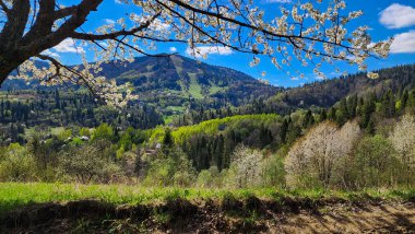 Bahar mevsiminde Karpat Dağlarının güzel manzarası