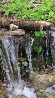 Doğada şelale, ormanda nehir akışı