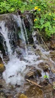 Orman su akışı