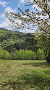 Parkın güzel manzarası