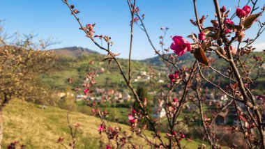 Dağların güzel manzarası