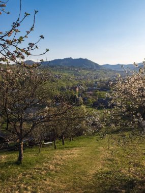 Köyde bahar çiçekleri
