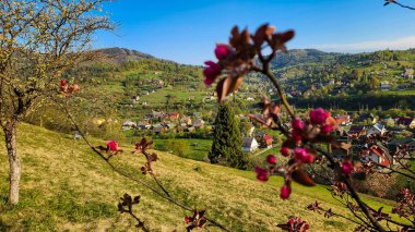 Arka planda dağ köyü olan güzel bir manzara.