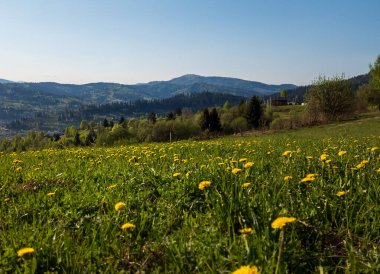 Dağlarda çayırı olan bahar manzarası