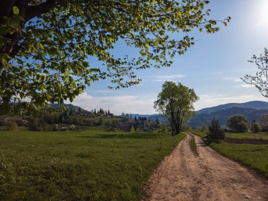 Yeşil bir çayırda dağlı güzel bir yol görüntüsü.