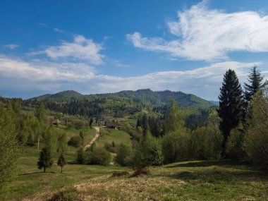 Mavi gökyüzü ve dağlarda bulutlar olan yeşil ormanın güzel bir görüntüsü.