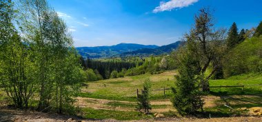 Yeşil vadi ve dağlardaki ağaçların manzarası.