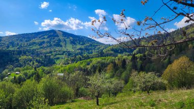 Güneşli bir günde dağ manzarası