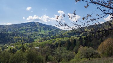 Yazın dağların güzel manzarası