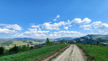 Yeşil çimenleri ve ağaçları olan güzel bir manzara.