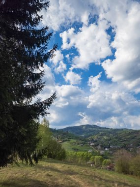 Arkasında bir dağ olan güzel bir manzara.