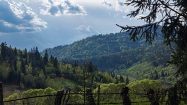 Yazın Ukrayna Karpatları 'nda dağ manzarası. Lypatyalılar.