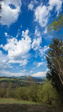 Arka planda ağaç olan bir dağın güzel manzarası.