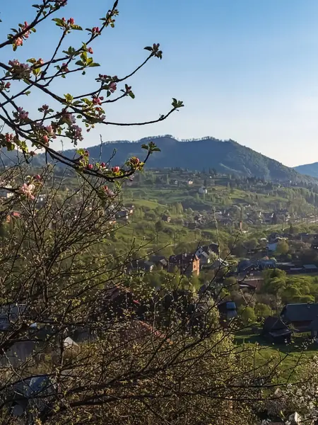 Arkasında bir dağ olan güzel bir manzara.