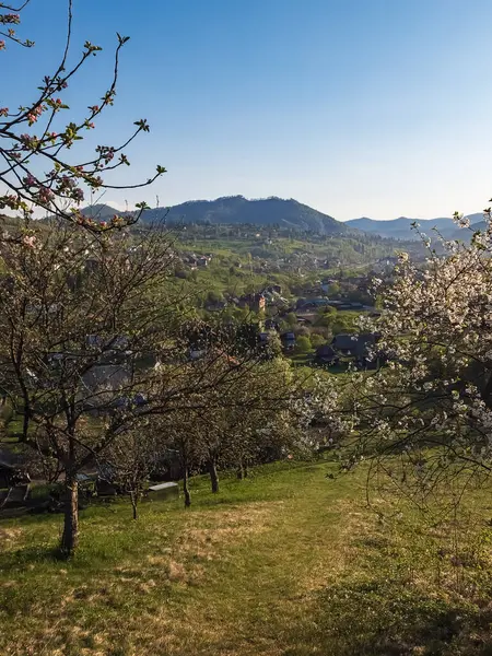 Köyde bahar çiçekleri
