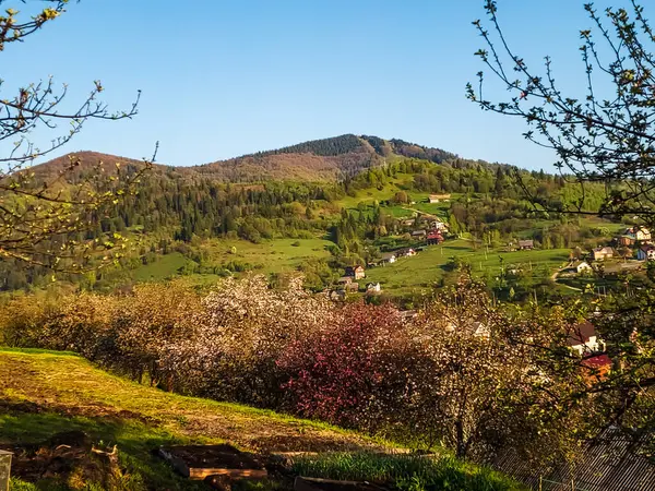 Bahar çiçek açan ağaçlar, yatay