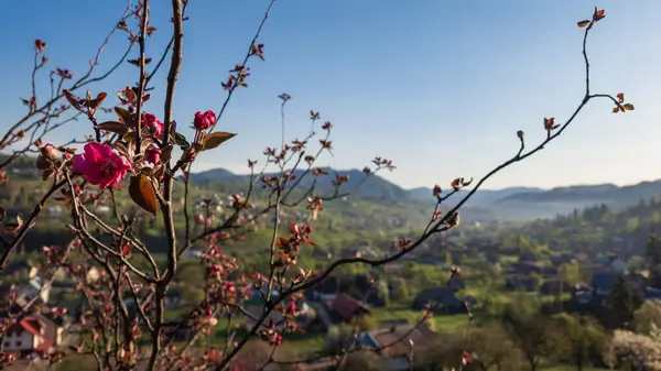 Dağların güzel manzarası
