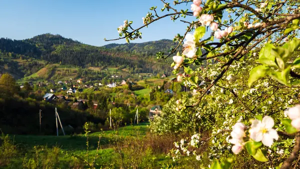 Arka planda küçük bir köy olan güzel bir manzara.