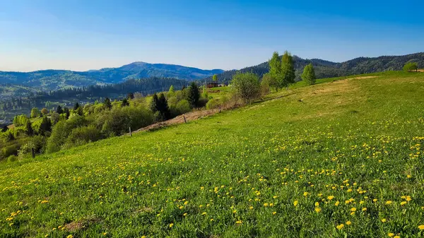 Dağların güzel manzarası