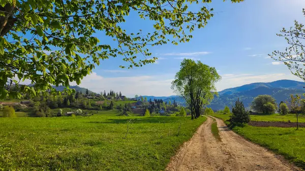 Karpat dağlarında güzel bir yaz günü, Ukrayna,