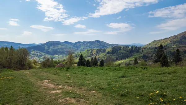 Dağlardaki yeşil vadinin güzel manzarası. yaz günü.