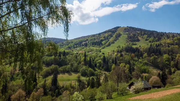 Karpat Dağları 'nın Manzarası