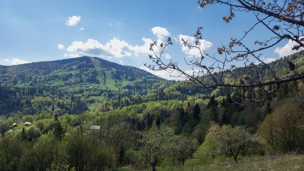 Yazın Karze köyünün dağlarındaki vadi vadisinden manzara.