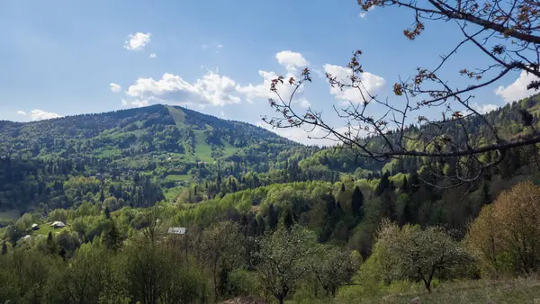 Yazın dağların güzel manzarası