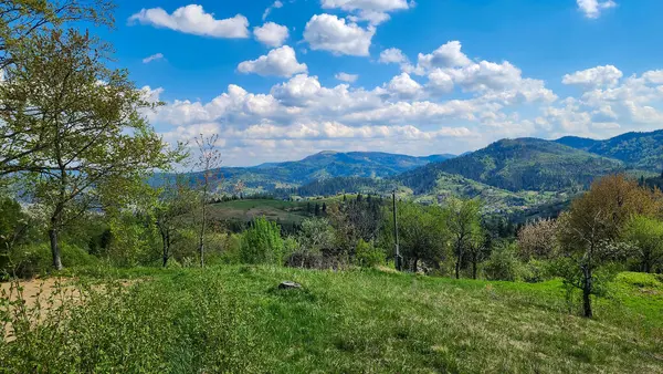 Arkaplanda dağların güzel manzarası