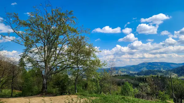 Doğanın güzel manzarası