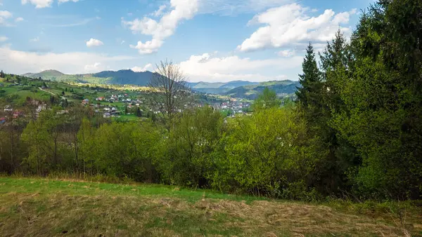 yeşil çayır ve mavi gökyüzü dağlarda