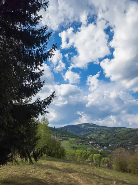 Arkasında bir dağ olan güzel bir manzara.