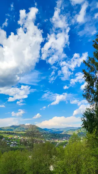 Ukrayna 'daki Karpatların güzel dağ manzarası.