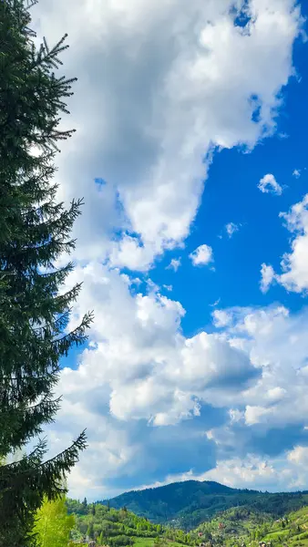 Ağaçları ve mavi gökyüzü olan güzel bir manzara.