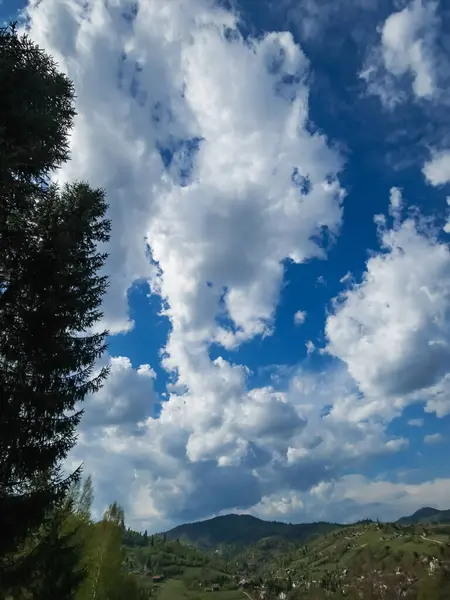 Güzel bir manzara Ağacı ve mavi gökyüzü
