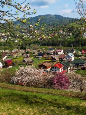 Bir köyle bahar manzarası