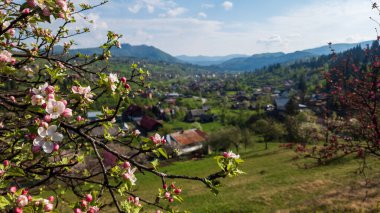 Alman Alplerinde güzel bir bahar