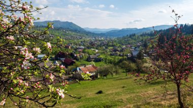 Dağlarda çiçek açan bir kiraz ağacıyla bahar manzarası