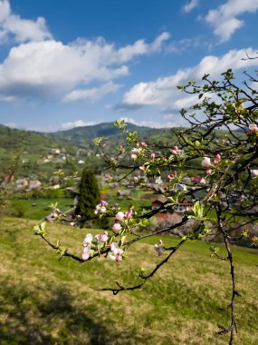 Dağlardaki güzel bahar manzarası
