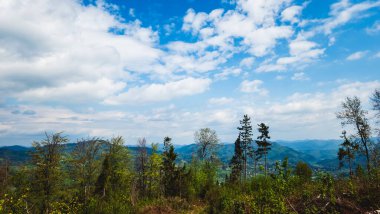 Dağları ve mavi arkaplanı olan güzel bir manzara.