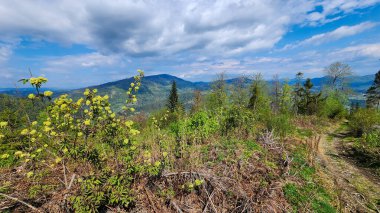 Doğanın güzel manzarası.