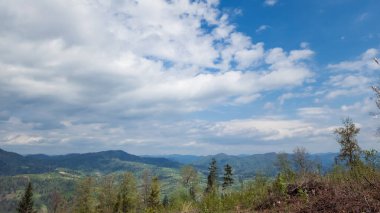 Karpatlar 'da yaz dağı manzarası