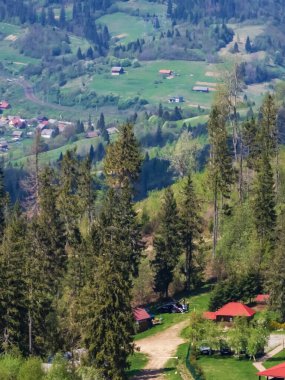 Karpatlar 'daki yeşil dağların manzarası
