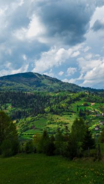 Güzel bir gökyüzü ve beyaz bulutlu yeşil bir alanın dikey görüntüsü.