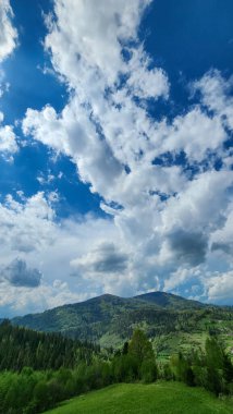 Dağlardaki yeşil bir çayırın güzel manzarası.