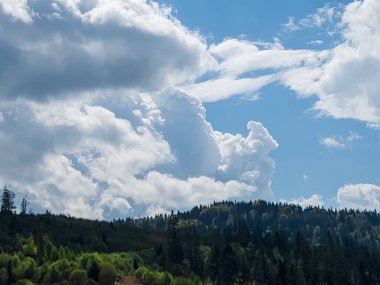 Ağacı ve dağı olan güzel bir manzara.